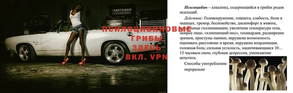 a pvp Абдулино