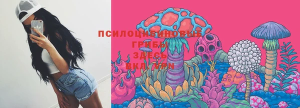 a pvp Абдулино