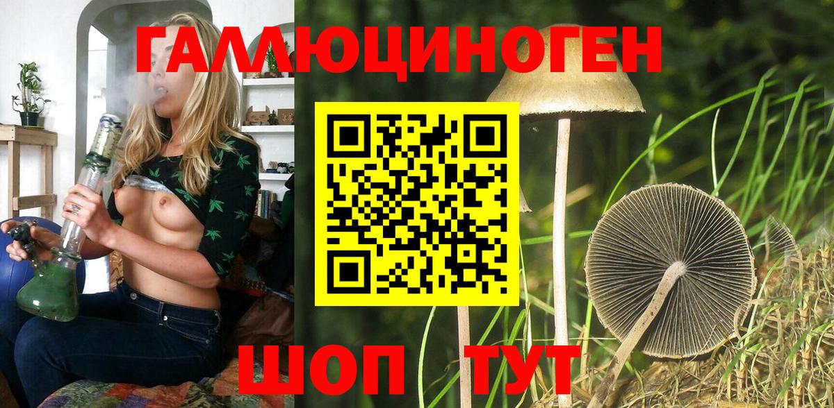 Псилоцибиновые грибы прущие грибы Керчь